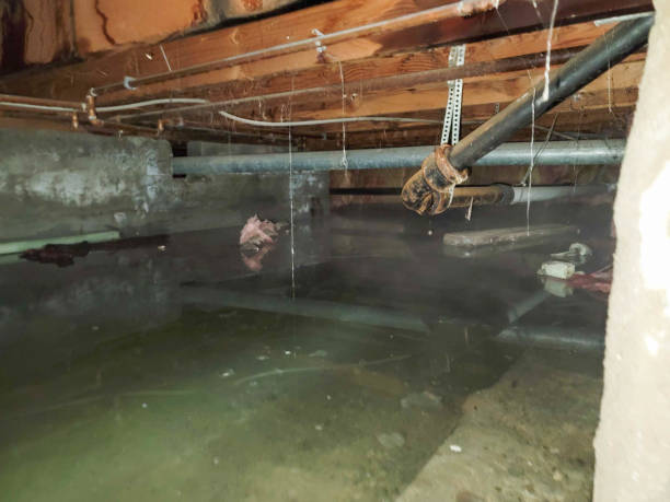 Best Wood Floor Water Damage Restoration in USA